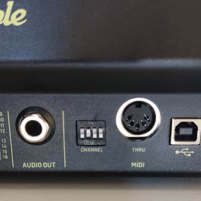 Behringer Solina String Ensemble 49-Voice Synthesizer 2023 - Present - Black image 2