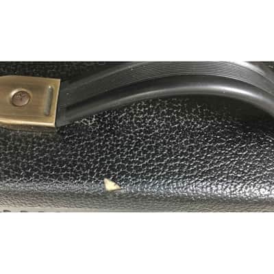 Peavey Ecoustic e20 image 2