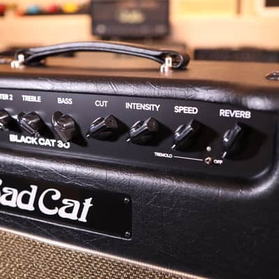 Bad Cat Mod Shop Black Cat 30 2-Channel 30-Watt 1x12" Guitar Combo 2026 - Present - Various image 5