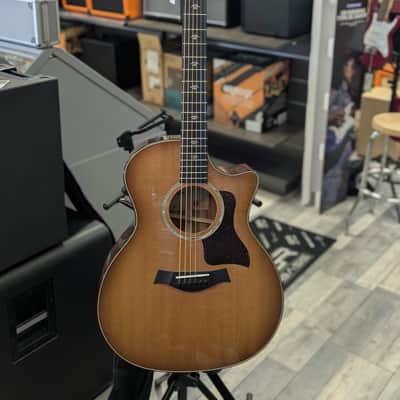 Taylor 512ce Urban Ironbark 2022 - Present - Tobacco image 3