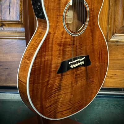 Takamine  TSP178ACK N 2019 -Flame Koa/ Thinline/ Arched Top/ W Pickup image 3