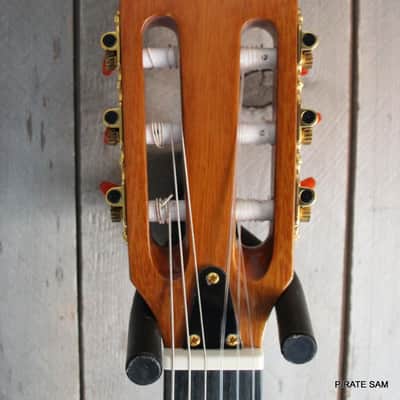 WASHBURN Festival  CUSTOM ART Guitar - EACT42S Classical Thinline image 5