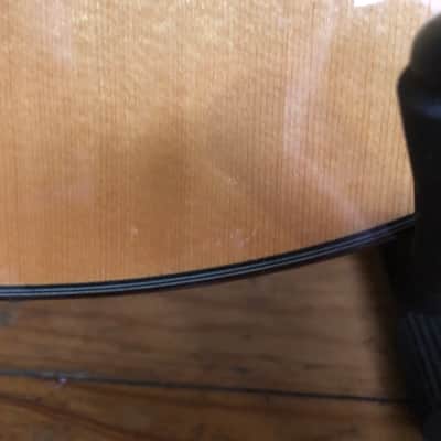 Larrivee Ls-19 Gloss image 7