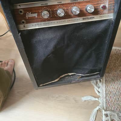 Gibson Skylark tremelo 1966 image 1