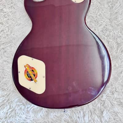 Epiphone Les Paul Standard Electric Guitar with Gibson Parts in Deluxe hardshell image 14