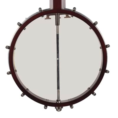Recording King Dirty 30s Open Back Banjo image 3