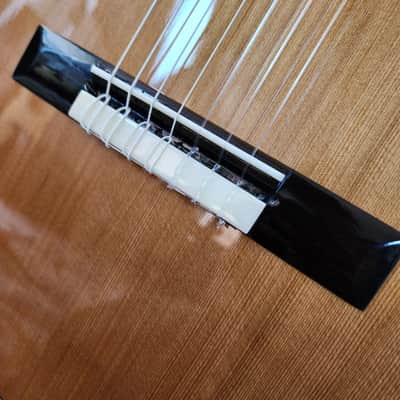 7-String Classical Nylon Guitar – Gayetana A77 | Full Scale 55mm Nut | Jazz / Latin / Extended Range - Cedar image 10