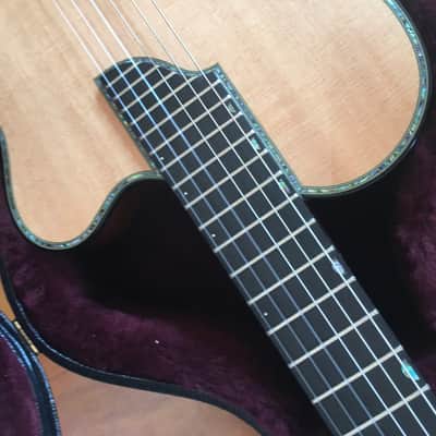 Sand Guitars electric nylon string Mahagoni - Barbera pickup image 5