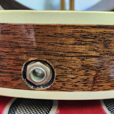Vintage Iida 240P Plectrum Banjo, Masterclone, Archtop Tone Ring, Japan, 1970s, Mahogany Resonator, Pickup Mod, w/HSC image 20