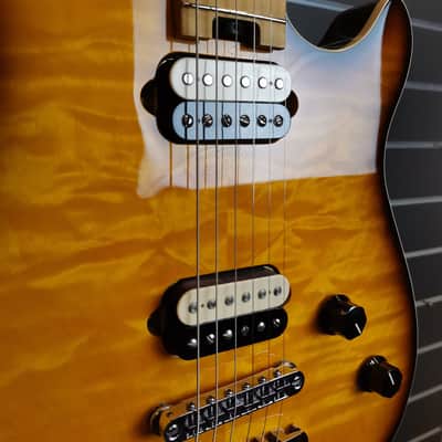 EVH Wolfgang Special HT with Hard Tail Fine Tuning Tailpiece Tobacco Burst image 3