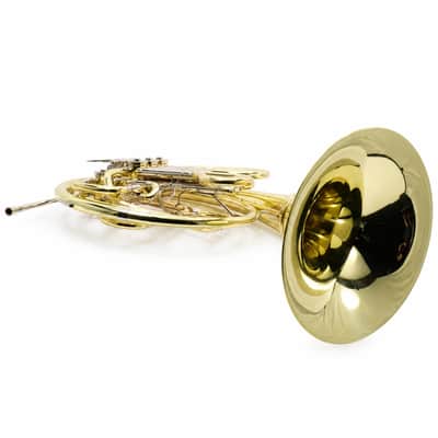 Yamaha YHR-668D Professional Double French Horn with Screw Bell SN 001227 image 20