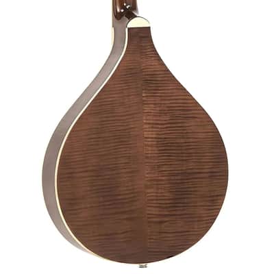 Gold Tone Banjola+ S Solid Spruce Top Woodbody Banjo with Scoop, Pickup & Hard Case image 4