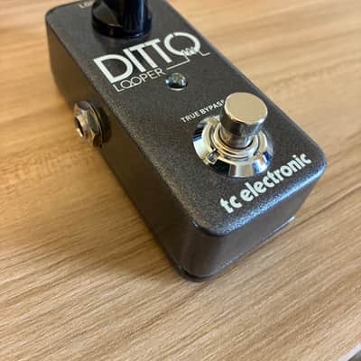 TC Electronic Ditto Looper 2013 - Present - Black image 1