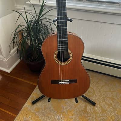 Tim McCoy 2012 Cedar Top Classical Guitar Cedar 2012 image 1