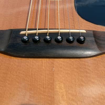 1979 Yairi YW-500P D-35 style + New Gig Bag plus more image 22