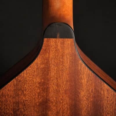 Stevens Mandola “Medieval” Mahogany 2026 - Natural image 9