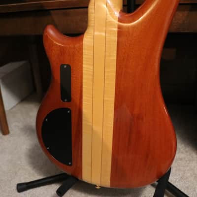 Alembic Essence 4 1995 image 11