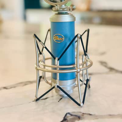 Blue Bluebird Large Diaphragm Cardioid Condenser Microphone | Reverb