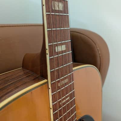 1970s Dorado by Gretsch Model 5968 MIJ Dreadnought Acoustic - Project / Repair image 6