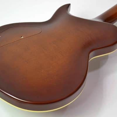 Aria Pro II PE 1500 RI, Antique Violin Finish! image 7