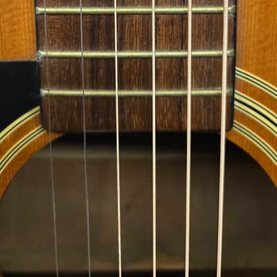 Washburn D12S/LH Acoustic Guitar Set Up Ready to Play image 8