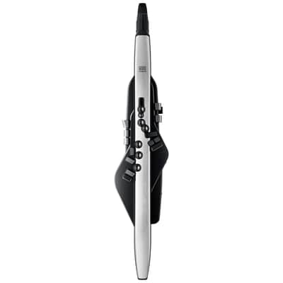 Roland Aerophone Pro AE-30 Digital Wind Instrument
