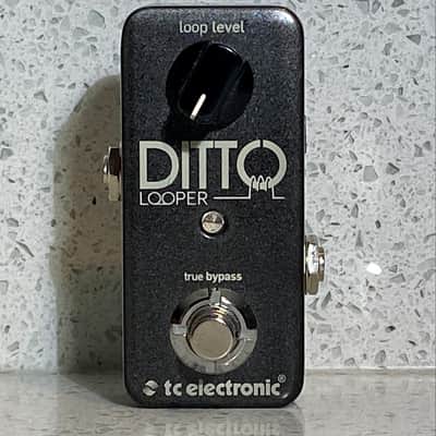 TC Electronic Ditto Looper image 25