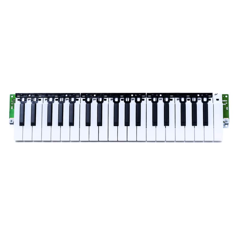 Korg 37-Key Keybed Assembly for MS1 microSAMPLER, microKORG XL, microKORG XL+ image 1