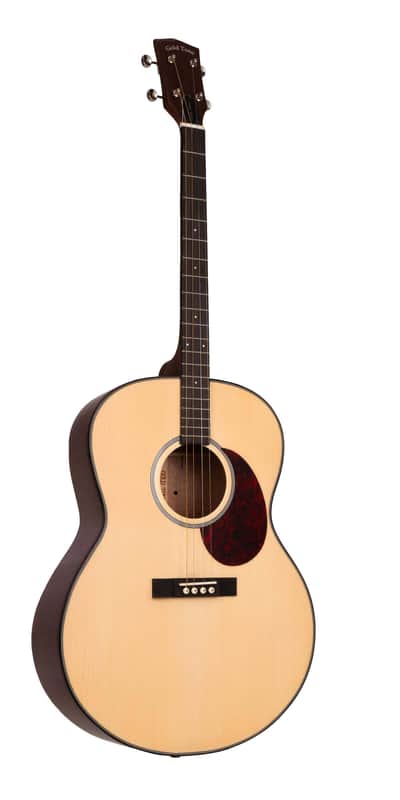 Gold Tone TG-10/L Left-Handed Tenor Guitar with Gig Bag image 1