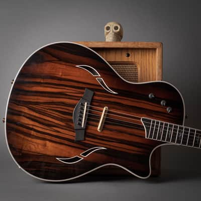 2007 Taylor T5-C2 Limited Macassar Ebony Top image 15