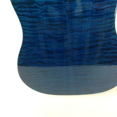 Taylor Custom 6 String Guitar GSLJ Koi Living Jewel Enlay Limited 65 of 100  with Original Hard Case image 6