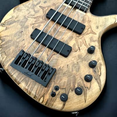 Elrick Basses EVO Gold 5 - Ambrosia Maple 2024 - Satin image 5