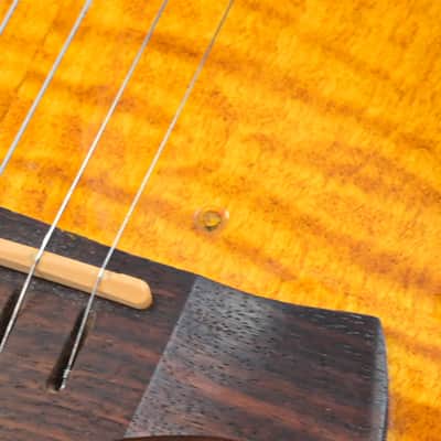 Crafter TMVS image 10