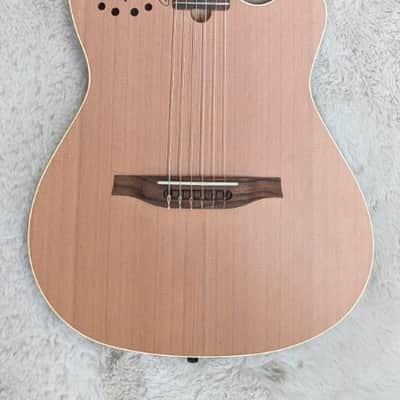 Godin Multiac Encore Nylon String Performance Guitar Semi-Gloss w/Bag image 1