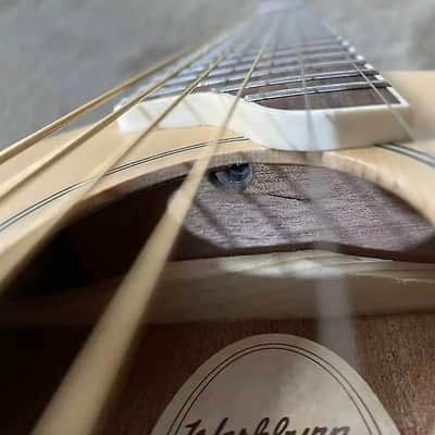 Washburn RO10TBL Rover Steel String Travel Acoustic Guitar 2010s - Trans Blue image 8