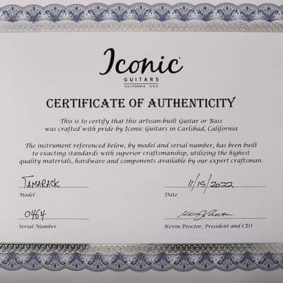 Iconic Guitars Tamarack 2022 - Butterscotch Blonde, NEW. (Authorized Dealer) image 13