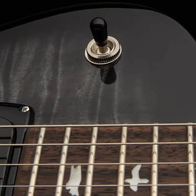 PRS SE Mark Tremonti Charcoal Burst image 20