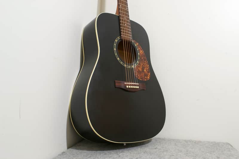 New Norman Protege B18 Cedar Acoustic Guitar Black Store Demo | Reverb
