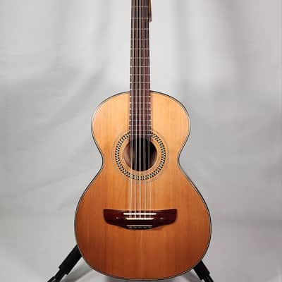 Fortaleza F10 Fullbody Bajo Quinto w/Gigbag image 1