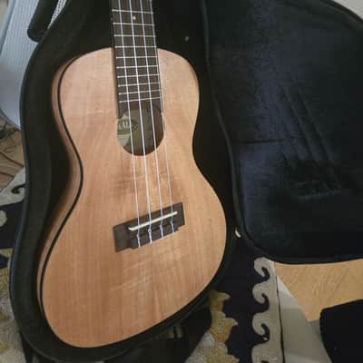 Kala KA-EMTU-C Travel Concert Ukulele with Gig Bag 2020 - Exotic Mahogany image 4