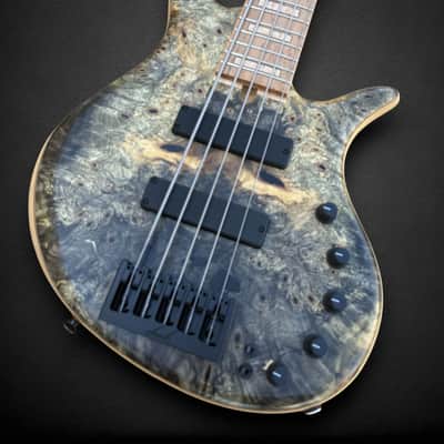 Elrick EVO Gold 5 String Buckeye Burl 2024 - Natural image 3