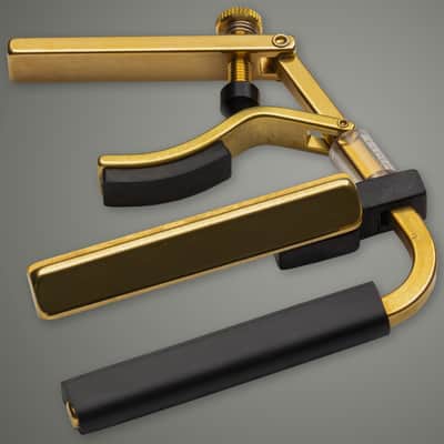 C6B Dobro Capo Laiton Shubb image 2