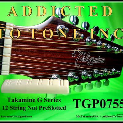 Takamine G Series Acoustic Guitar 12 String NUT TGP0755 Pre Slotted / OEM Part / TUSQ image 1