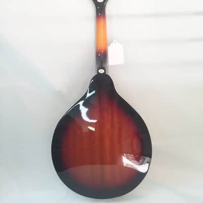 Stadium A-Style Acoustic/Electric Mandolin-Includes Setup-Case/Bag Available! image 4
