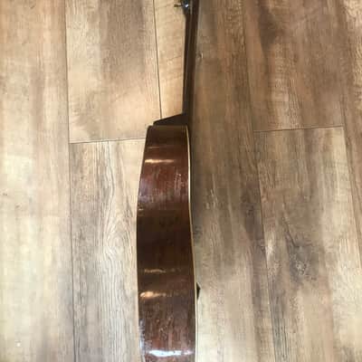 Harp Guitar Antique RARE Harp Guitar 1920s Brown image 4