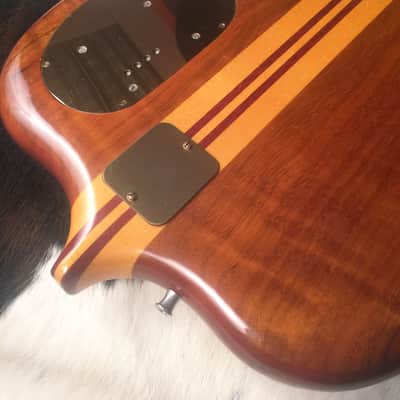 Alembic Series 1 Bass Guitar Owned by Nathan East (bassist for Eric Clapton) image 17