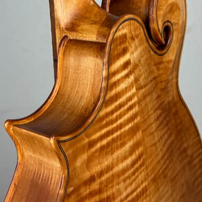 Tonedevil OFM Octave Mandolin 2026 - Tobacco Honey Amber Satin image 7