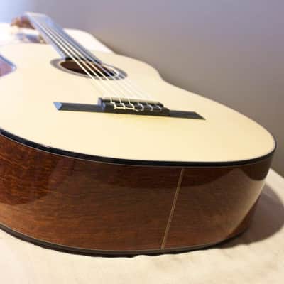 Martin Custom Shop N-Style Classic Solomon Padauk image 8