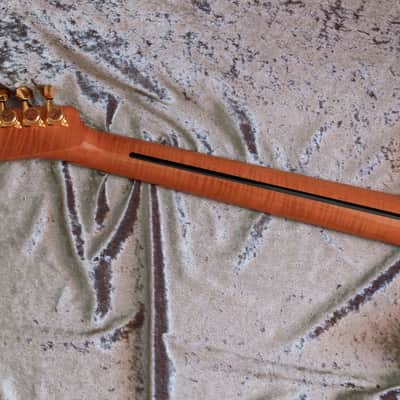 GB Liuteria Traditional Tele semi hollow kiaat image 3