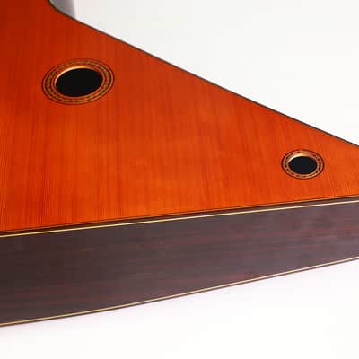 The Biggest Classical Guitar We've Ever Seen | Corujo's Gran Guitar by Raimundo & Aparicio - Check Video! image 12